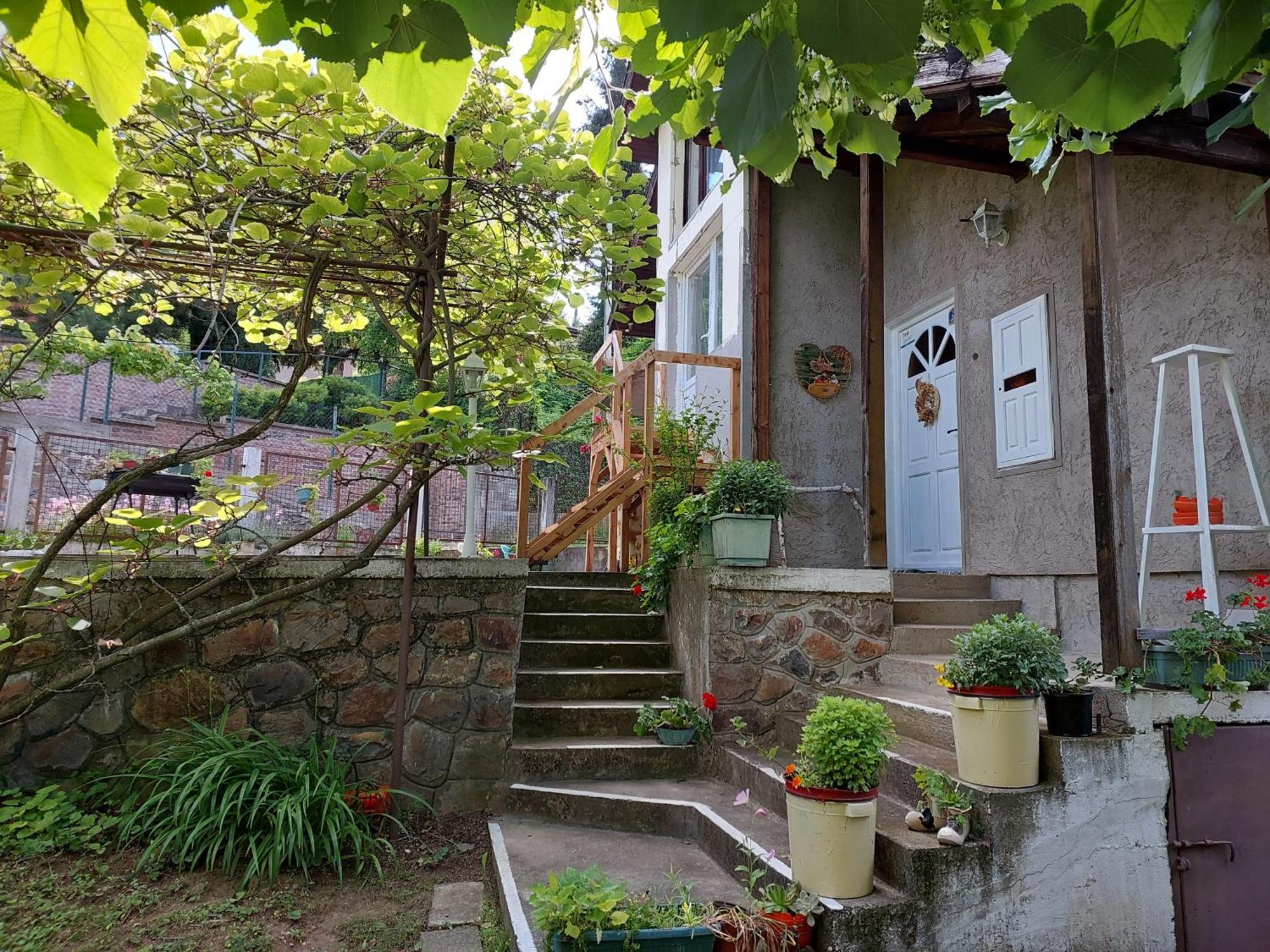 Apartman Nikola Rakovac Exteriér fotografie